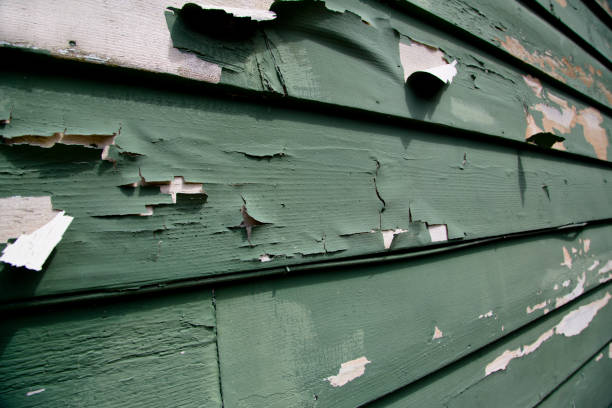 Best Residential Vinyl Siding Installation  in La Conner, WA