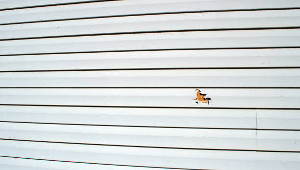 Best Storm Damage Siding Repair  in La Conner, WA
